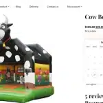 bouncycastlerentalottawa.ca